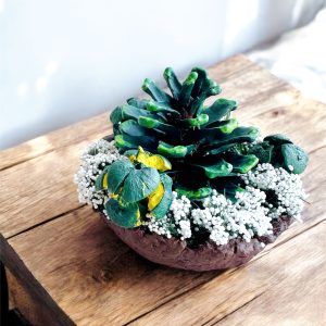 *SILVA ANIMA* Kozalak Tasarım