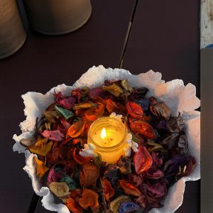 Flora Nidus Aureum Doğal mum kase 20x20x10 cm